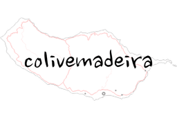 Partner 1